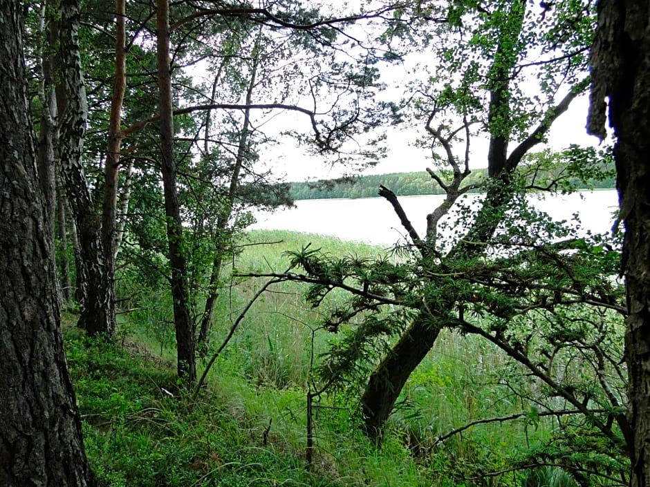 BORY TUCHOLSKIE SKÓRZENNO KO¿O OSIEKA