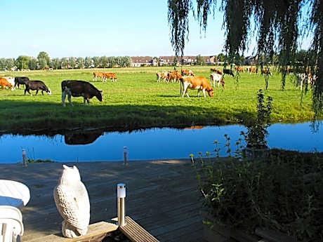 B&B-Edam