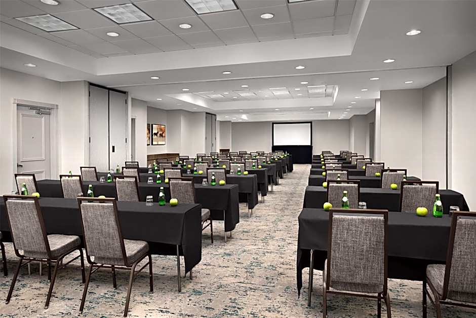 Hilton Garden Inn Dallas Lewisville