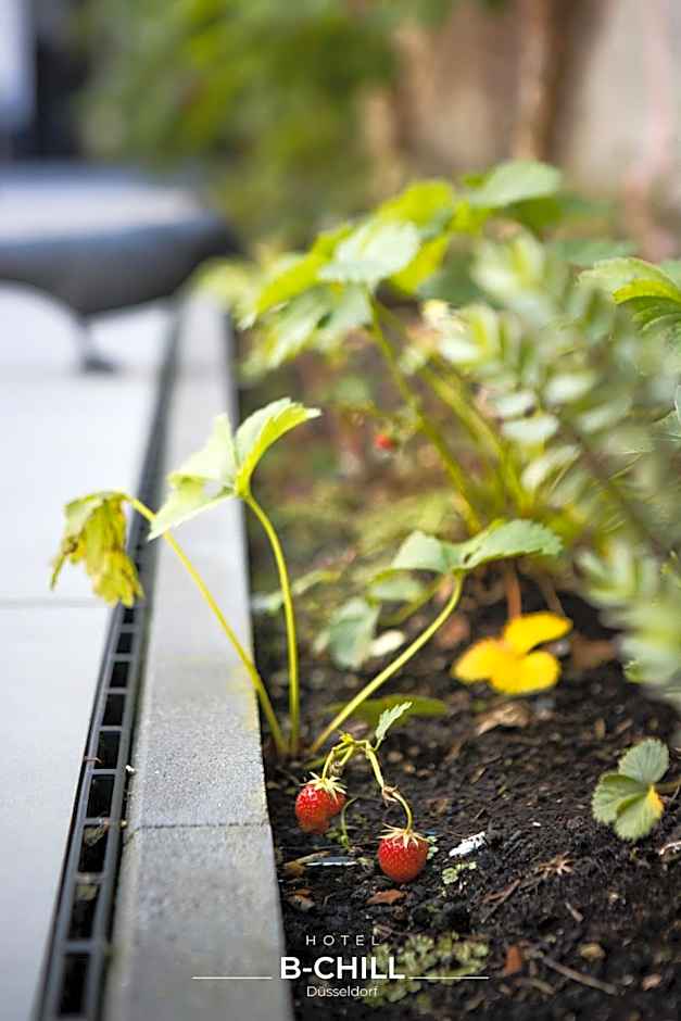 B-Chill Düsseldorf