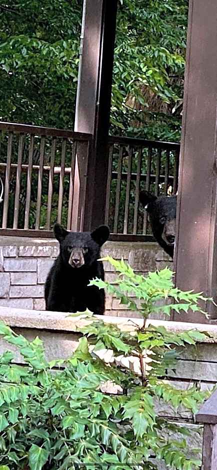 Brookside Lodge by FairBridge