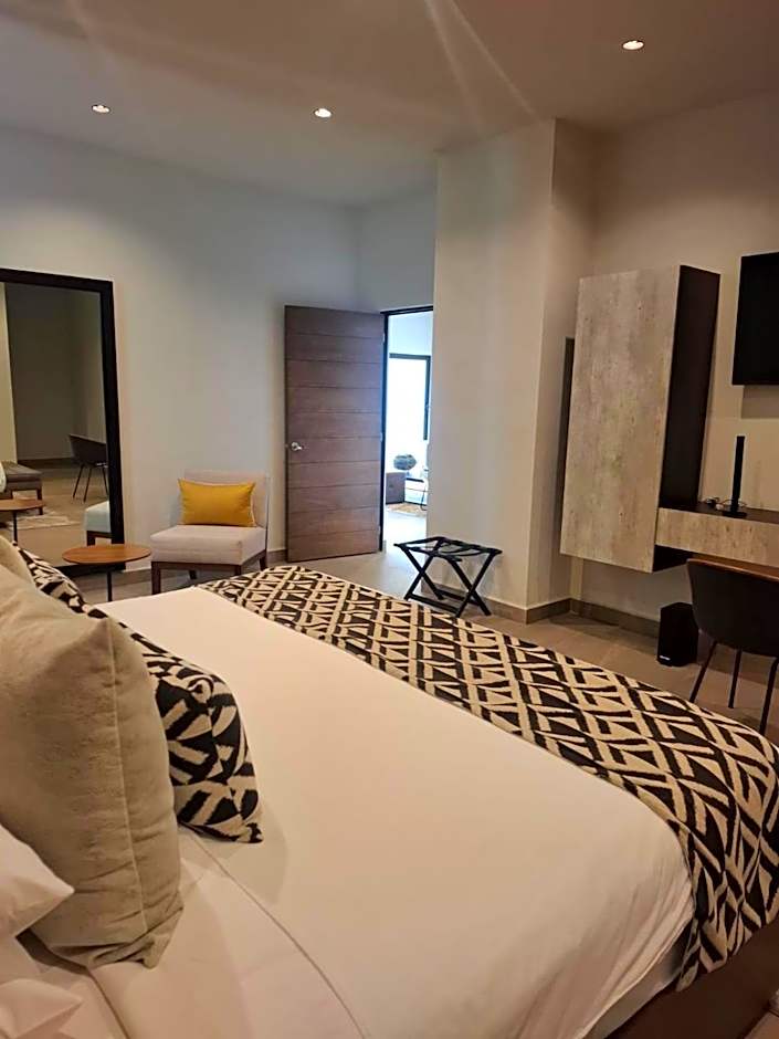 Esplendor by Wyndham San Luis Potosi Monarca