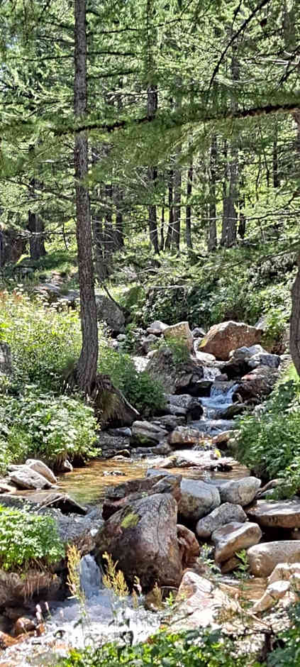 Holidays In Provence Alpes Maritimes