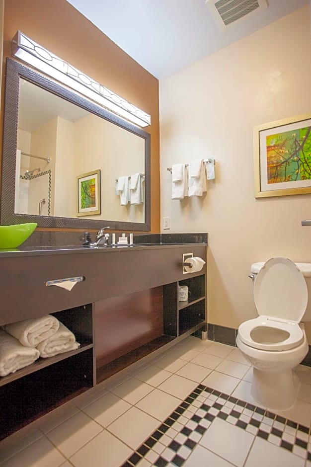 Fairfield Inn & Suites by Marriott Houston Channelview