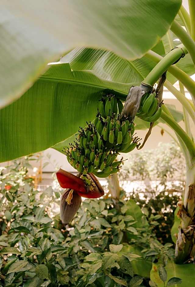 Rhodes Backpackers Boutique Hostel and Apartments