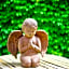 Le Relais des Anges