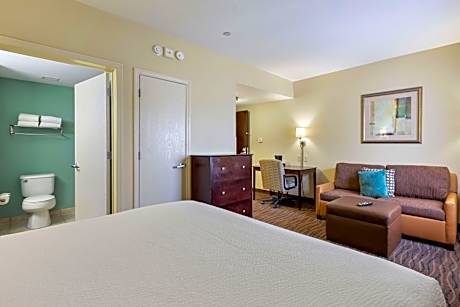 Deluxe Studio with 1 King Bed - Non-Smoking