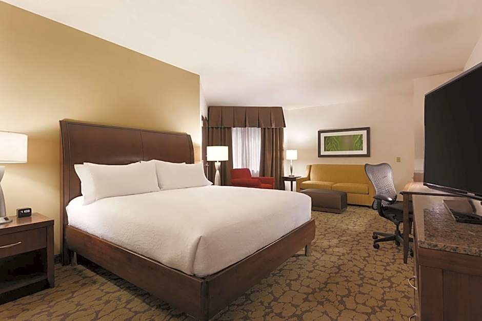 Hilton Garden Inn Rochester Downtown