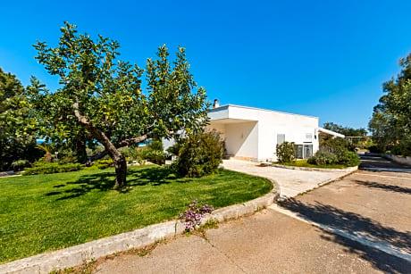 B&B Carrubeto