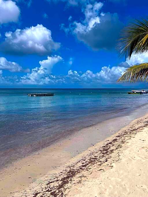 Le gîte du Rucher de l’île