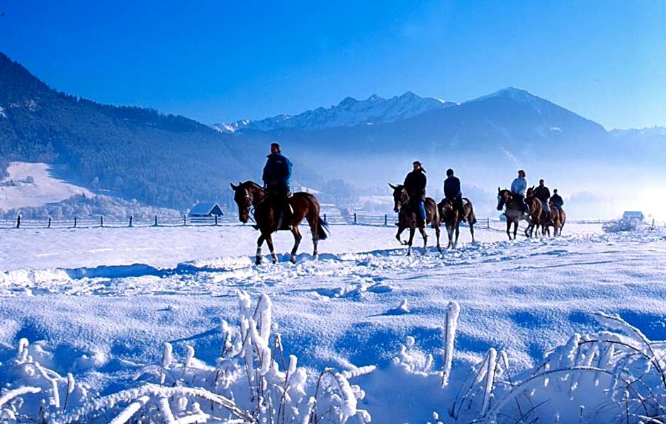 Hotel Gasthof Mitteregger - BEST PLACE in town with summercard included