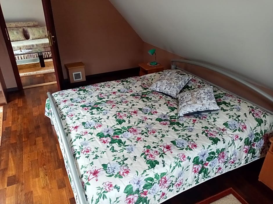 Apartmán Starý Mlyn