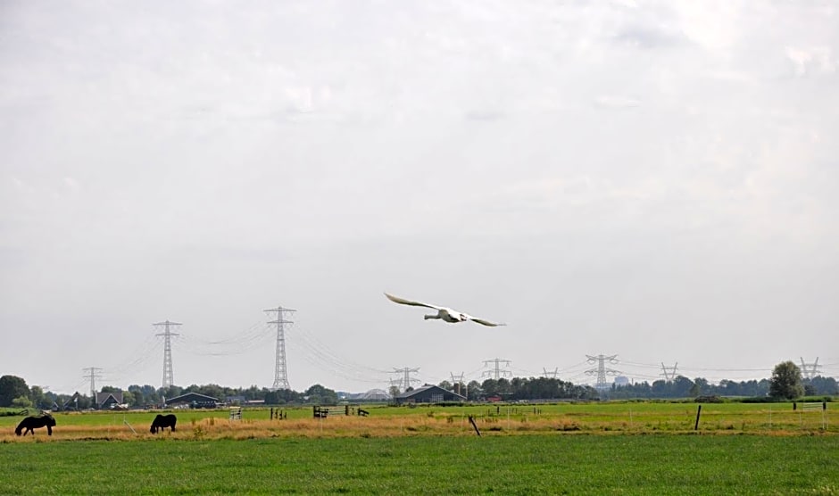 Your nice waggon at the Cow's Paradise