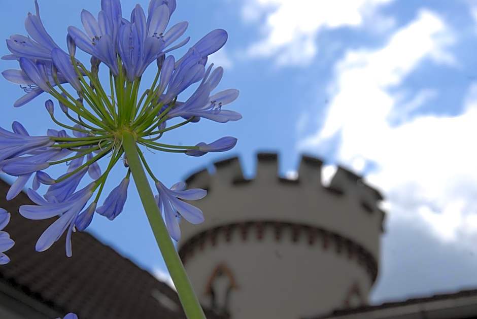 Pension Kastanienhof