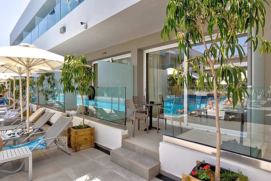 White Olive Premium Laganas