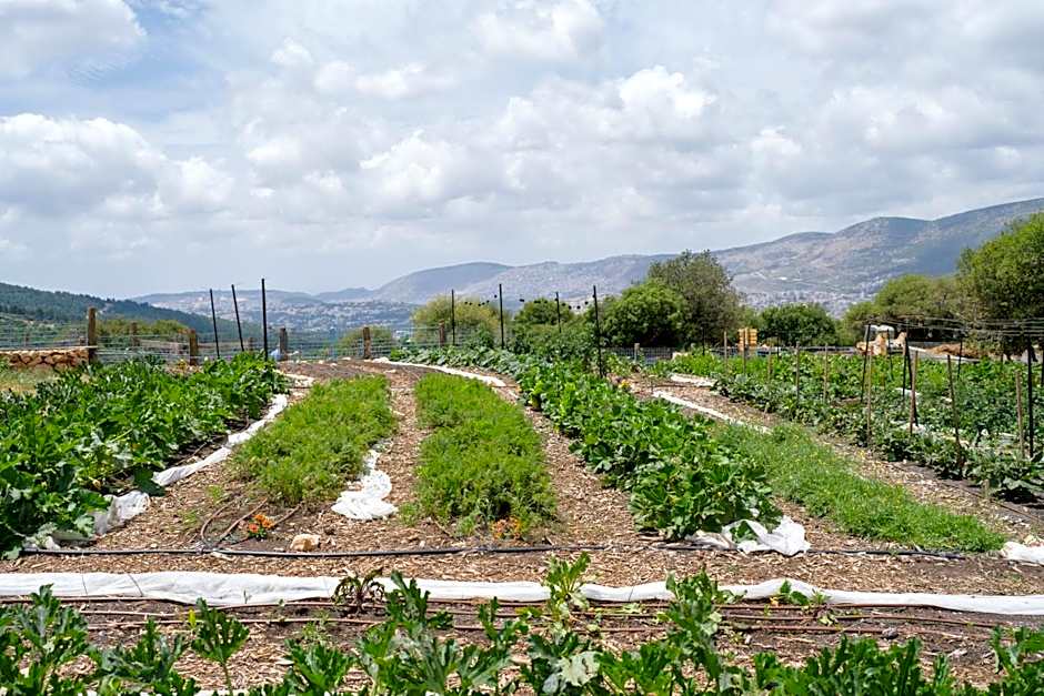Rom Farm by Glow - חוות רום