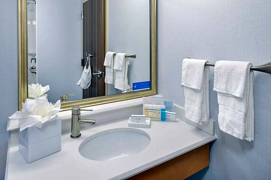 Hampton Inn By Hilton & Suites Denver-Speer Boulevard