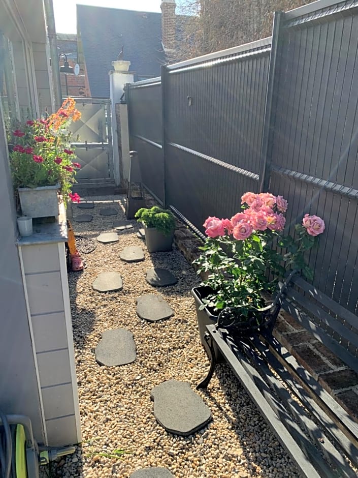 Dom’s Garden – Livarot, NY