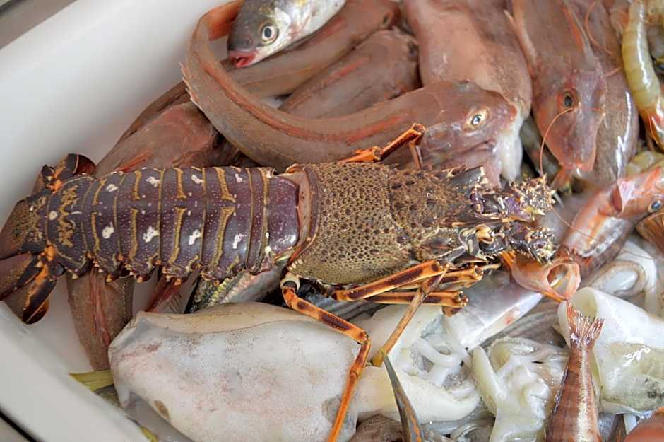 Hotel Royal - Beauty & Spa