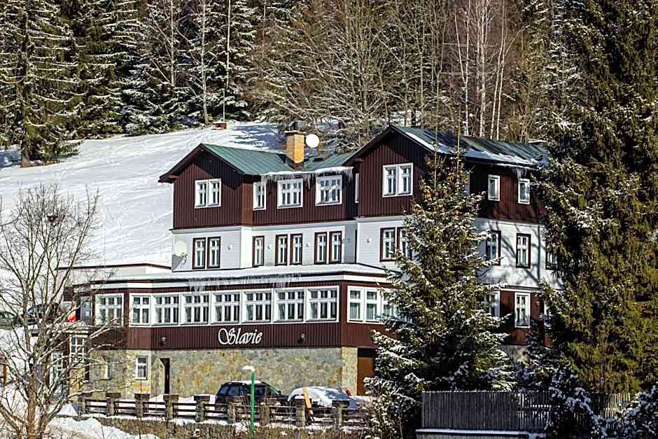 Hotel Slavie