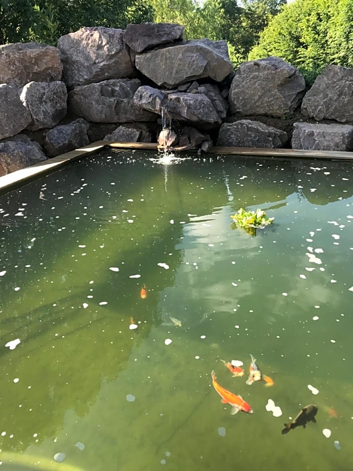 Les nuits insolites de la mothe - hébergement en bulle ou tiny house avec spa privatif