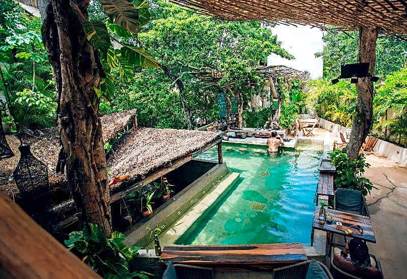 Orchid House Tulum Jungle