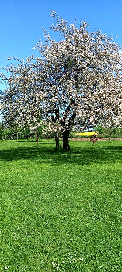 Aux trois petites notes