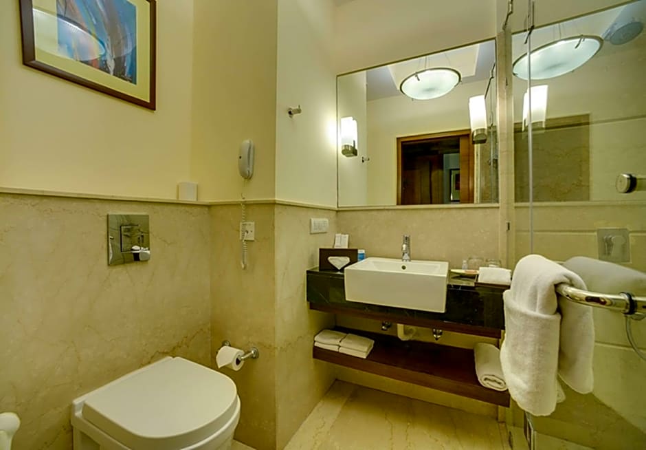 RS Sarovar Portico Palampur