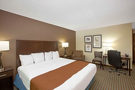 1 King Bed Deluxe Room Non-Smoking