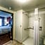 Hampton Inn By Hilton And Suites Detroit/Airport-Romulus