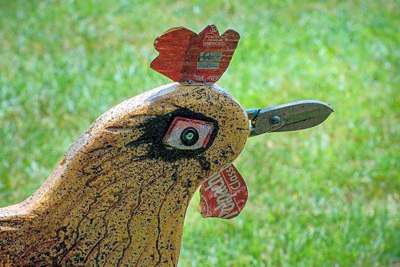 Rooster Guesthouse Rooms