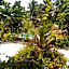 Mustapha' s Place