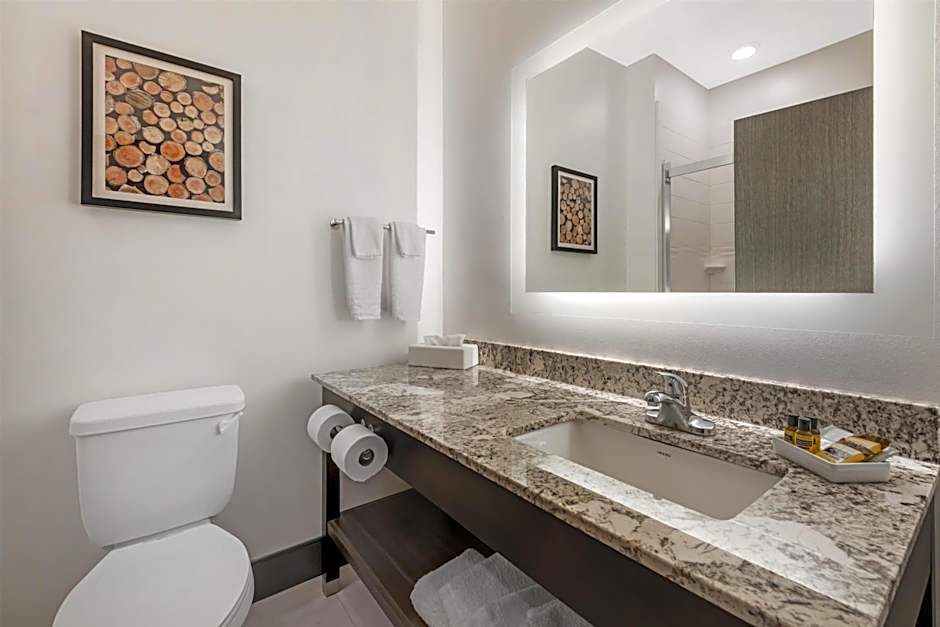 Best Western Plus Isanti