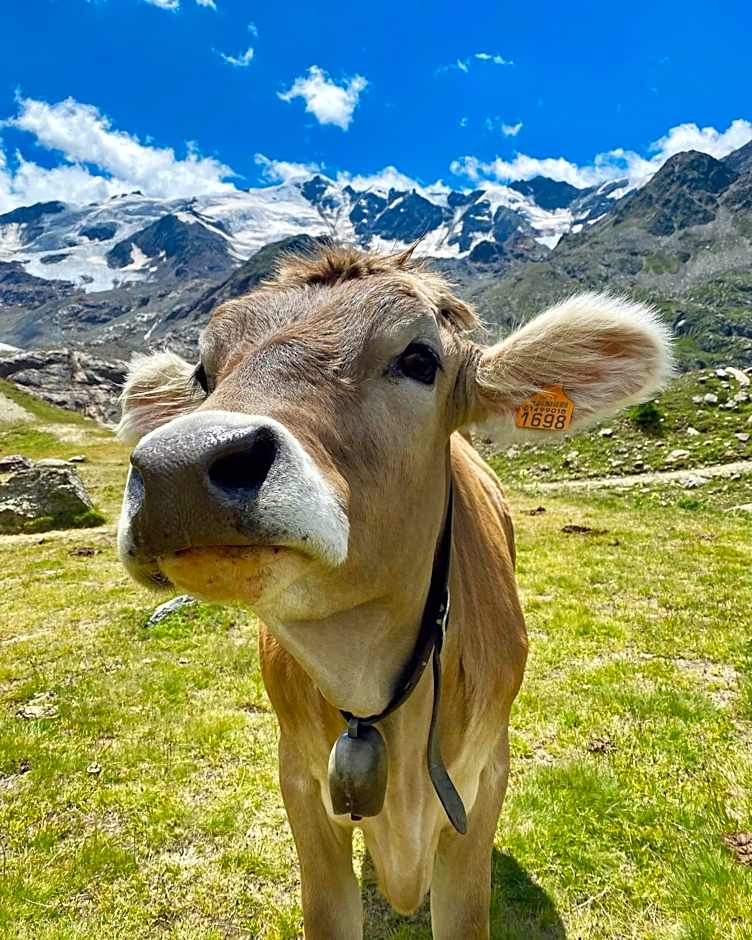 Al Baitin - Charme & Nature -