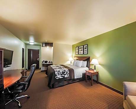 King Room - Accessible/Non-Smoking