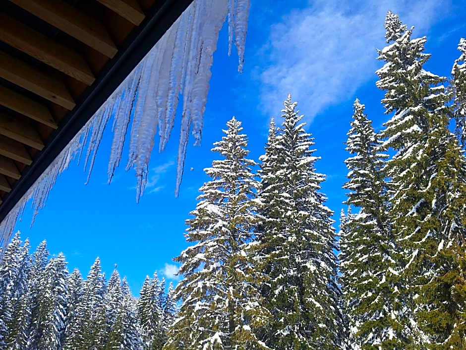 Hotel Jelka Pokljuka