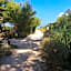 LA BADINE 5p Plage piscine clim jacuzzi parc luxuriant