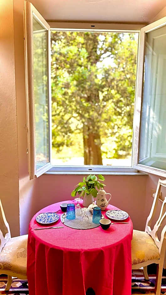Villa La Dogana B&B di Charme - Historic Villa with a beautiful garden - private parking