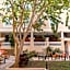 Holiday Inn Express Merida Centro By IHG