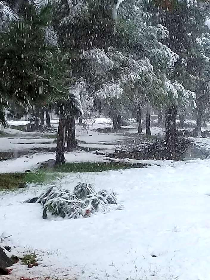 Paradise on the horizon