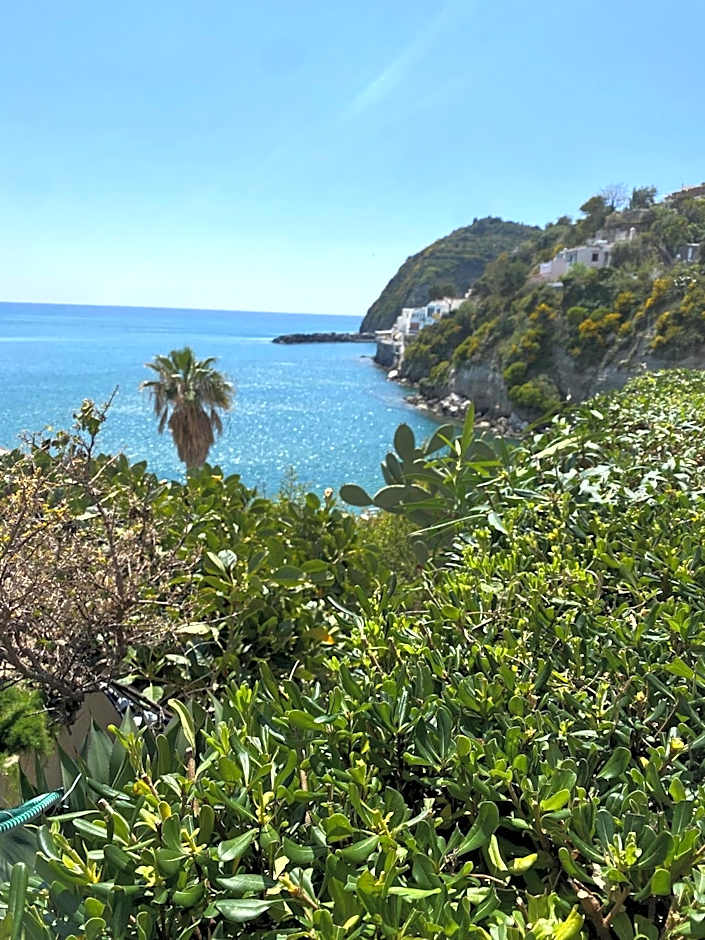 Hotel Casa Rosa Sea & Spa