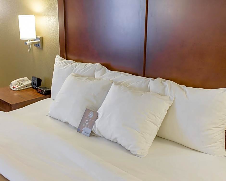 Comfort Inn Hammond