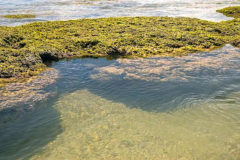 Kíria's Village Beach House