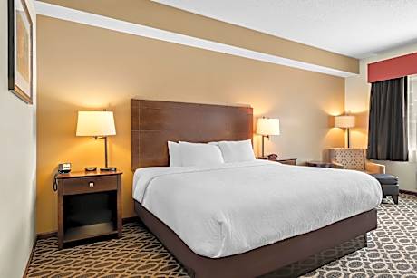 1 KING BED,NSMK,INTROM,BUSNS,HISPD,IRON,CONTINENTAL BREAKFAST