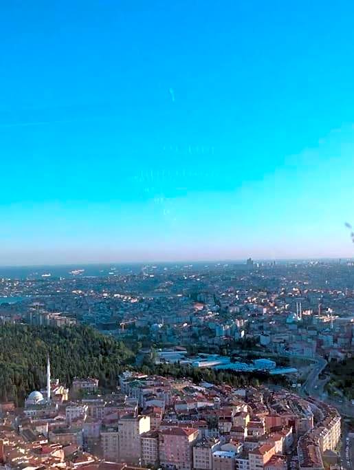 Luxury suites with gym and pool floor40