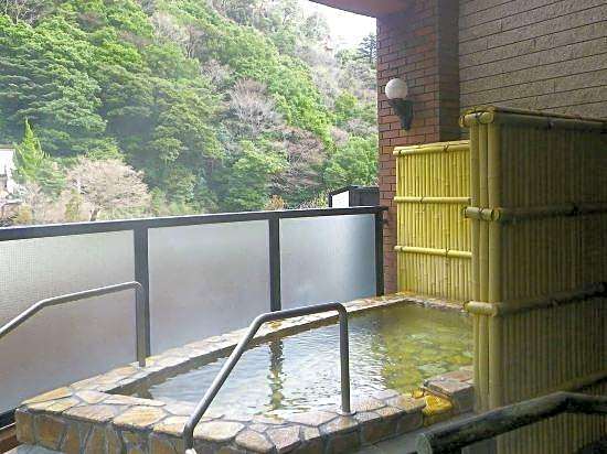 Hotel de Marronier Yunoyama-Onsen
