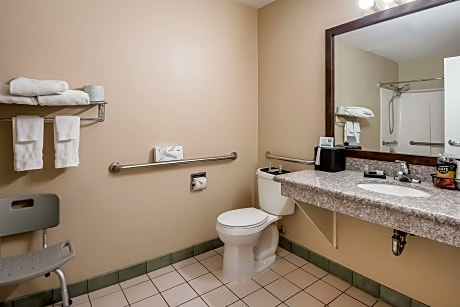 Accessible - 1 Queen, Non-Smoking, Roll In Shower, Microwave, Refrigerator, Full Breakfast Free Breakfast