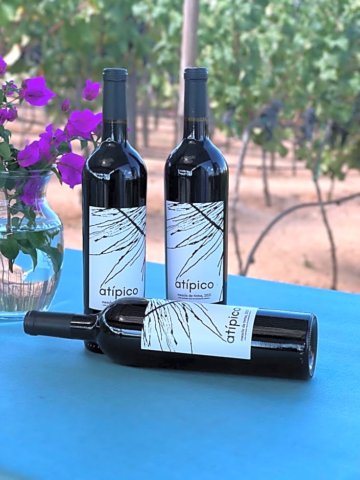 Santerra, Valle de Guadalupe