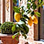 Guild Siena Senior Resort & Residence