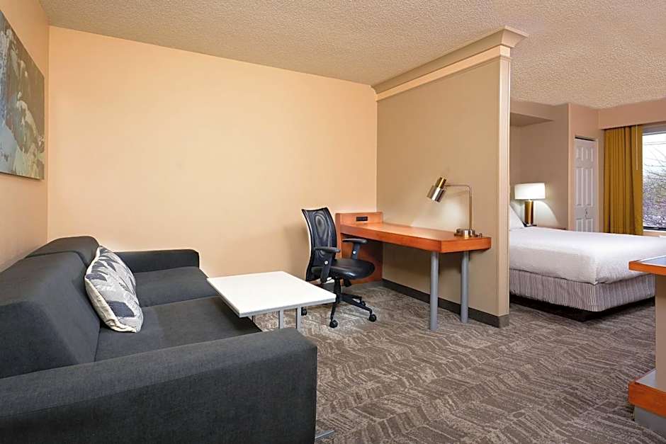 SpringHill Suites by Marriott Lynchburg Airport/University Area